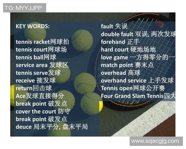 上海网球队区域防守分析:优劣势及对战策略探讨