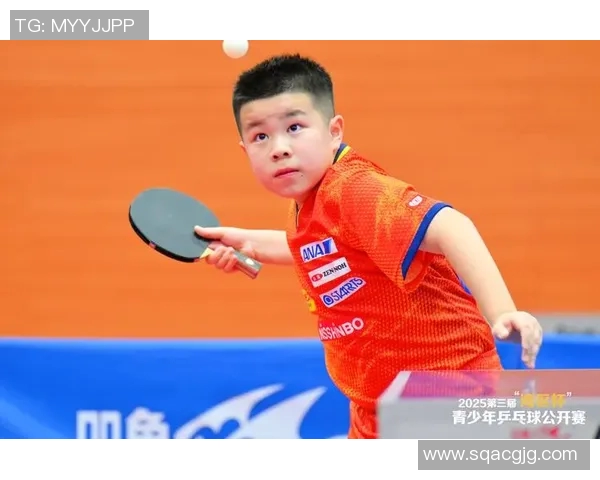 乒乓球个人能力排行榜揭晓深圳乒乓球队荣登第八位引发关注